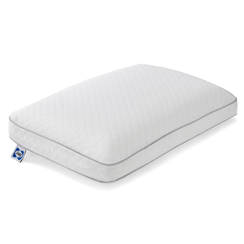 Sealy To Go Classic Memory Foam Pillow