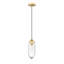 Luminaire suspendu en forme de goutte à 1 lumière Bailey-Lee-66702439