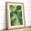Layered Fern Fronds Botanical - Framed Print-1486204905-1486204906