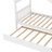 Aashini Kids Platform with Trundle-1154664063-1154664061