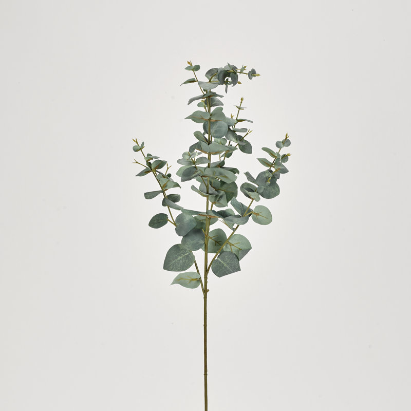 Brume d'eucalyptus Anelis