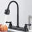 Matte Black 2-Handle RV Kitchen Faucet, 8" 2-Hole Camper Sink Faucet, 360° Swivel Spout & Two-Function Sprayer for Motorhome, Trailer & RV