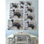 Speak In Silence - Wrapped Canvas Painting-1025309470