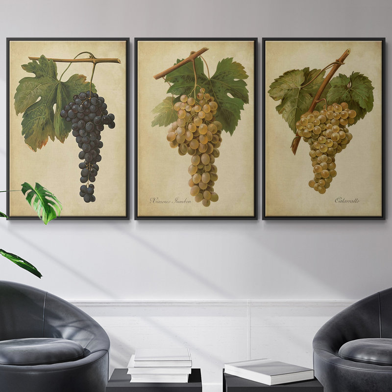 Ensemble de 3 pièces encadrées sur toile Vintage Vines II, H 27 po x l 54 po, Noir