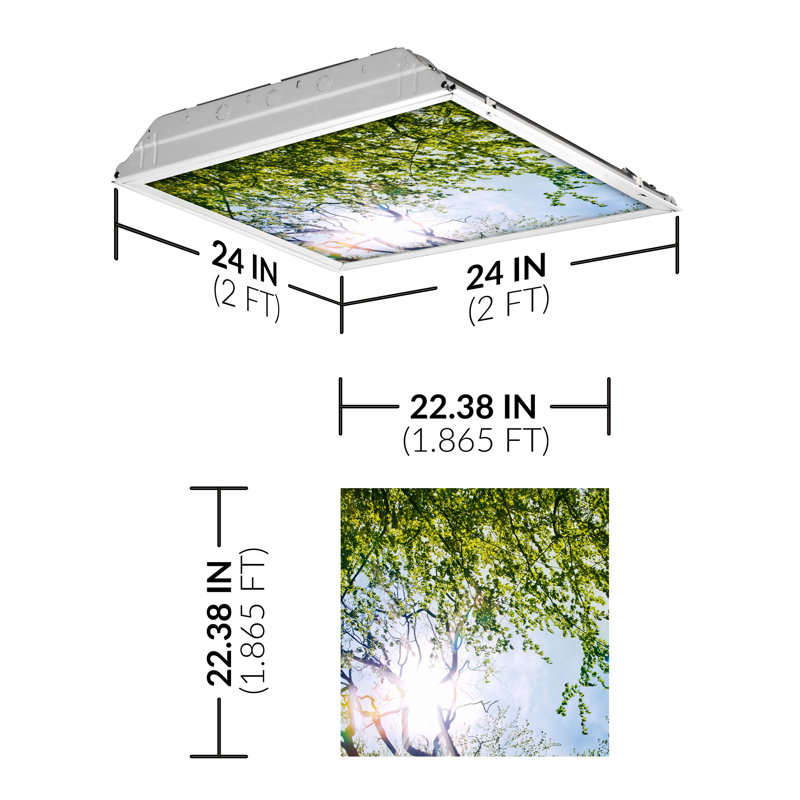Tree Square Fixture Component Ceiling Light