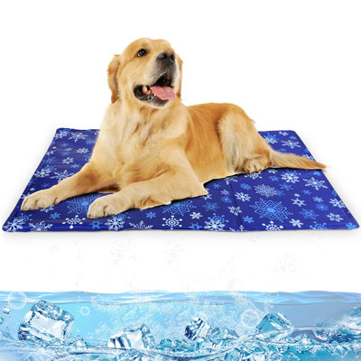 Pet Bed