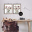 Ensemble de 2 cadres flottants Earthy Infatuation Bouquet, design par Albert Koetsier-811337821-811337816