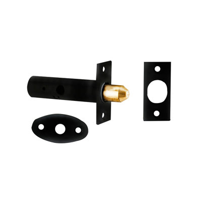 Door Security Bolt