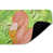 Tropical Flamingo Fauna sélectionné