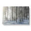 Winter Forest Vol.8 - Wrapped Canvas-61880857