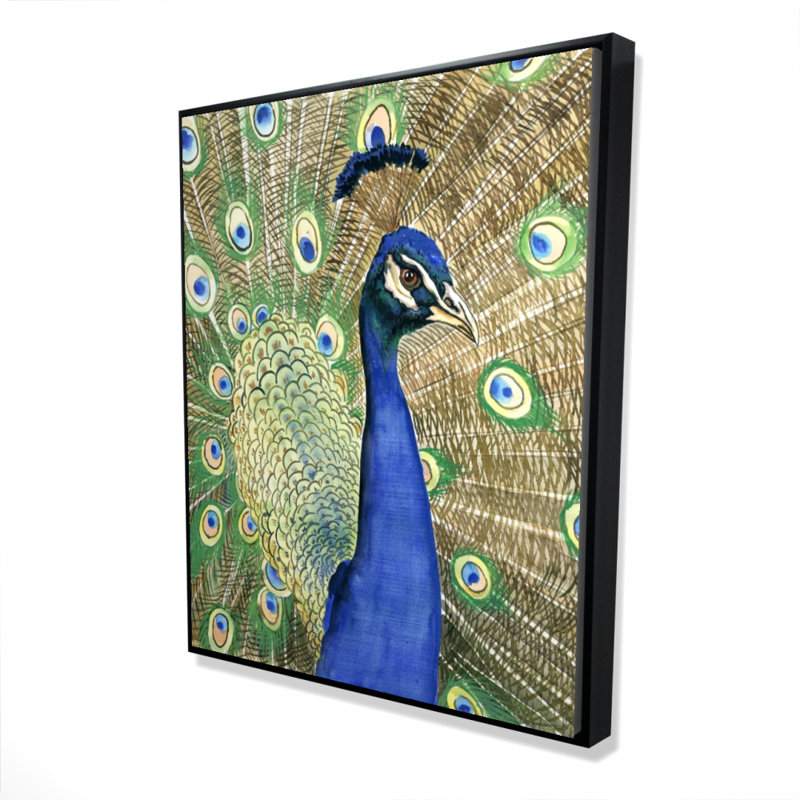 " Peacock "
