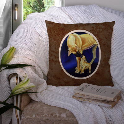 Outdoor Throw Pillow