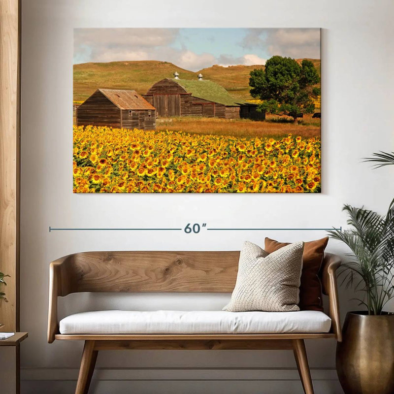 Champ de tournesols Alvord, H 34 po x l 51 po
