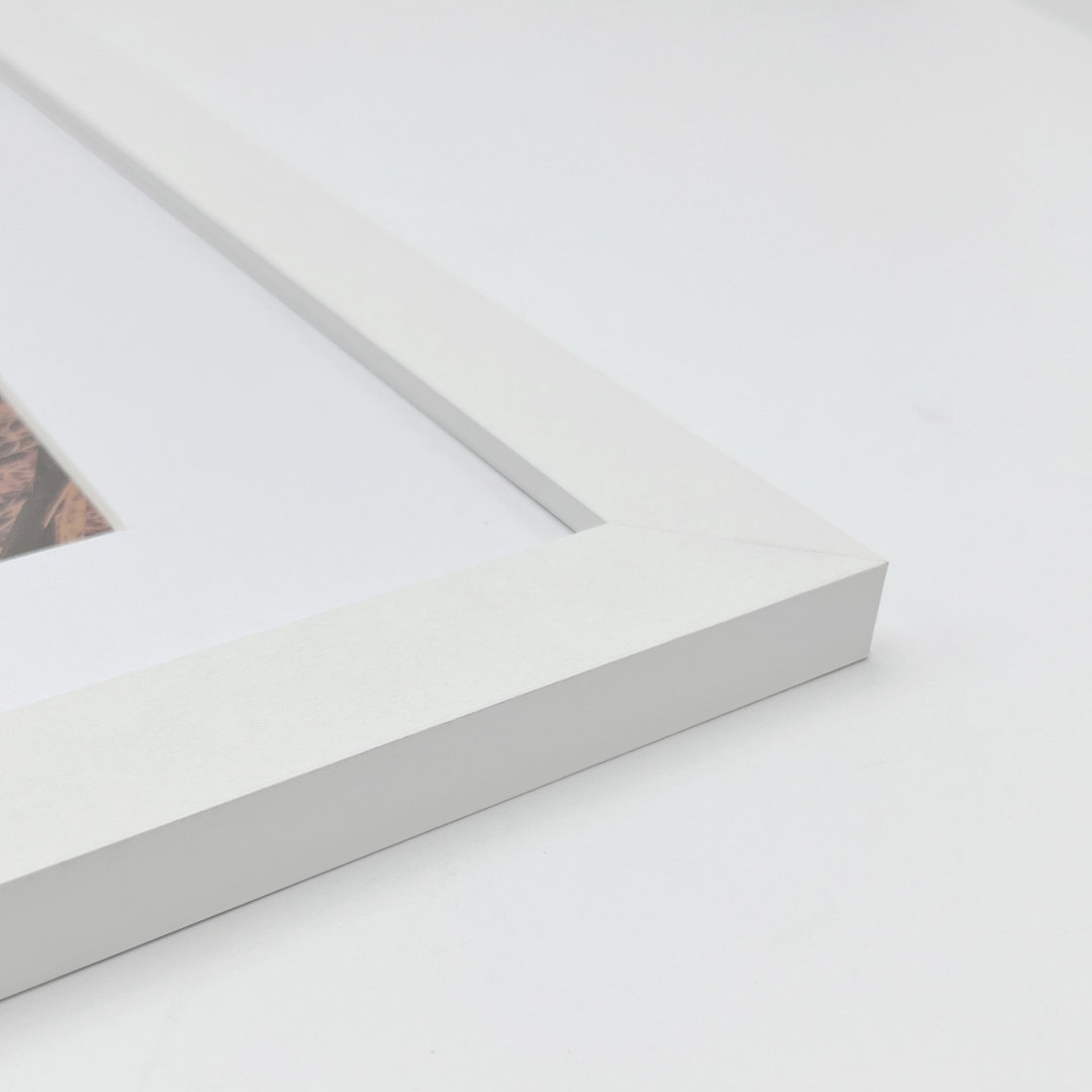 Kylyn Wood Picture Frame - Set of 6 Ebern Designs 