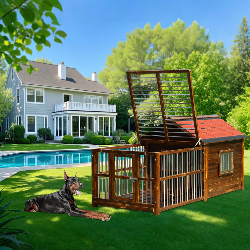 Niche pour chien en bois massif de luxe avec clôture, H 76 po x l 30 po x P 39 po
