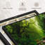 Impression sur toile Forest Stream-102354263