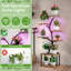 Plant Stand