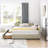 Velvet Upholstered Storage Daybed with 2 Drawer-59591962-54744871