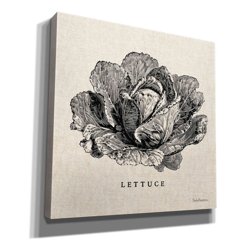 August Grove 'Burlap Vegetable BW Sketch Lettuce' By Studio Mousseau, Giclee Canvas Wall Art, H 37 po x l 37 po x P 1,5 po