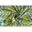 Coussin décoratif en velours