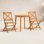Dani 32" Eucalyptus Patio Bistro Set
