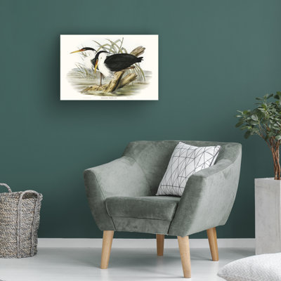 " Waterbird Pairing II "