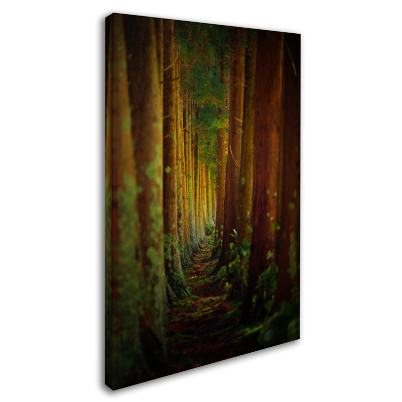 Art mural sur toile tendue - "Rui Caria", art mural pour salon, chambre à coucher ou bureau - 22 x 32, H 32 po x l 22 po