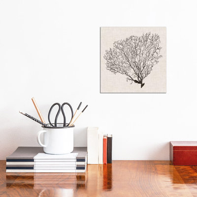 Shadow Sea Fan IV by Grace Popp - Wrapped Canvas Print