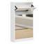 Armoire à chaussures moderne avec petit miroir