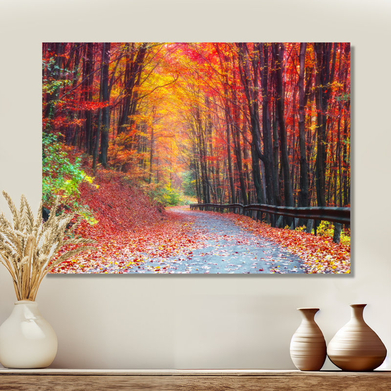 « Road In Beautiful Autumn Forest » - reproduction de photo, H 30 po x l 40 po, Toile tendue, Sans cadre