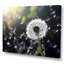 White Black Dandelion Whispers III - Floral Wall Art Living Room-811005099-811005101