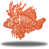 Corail