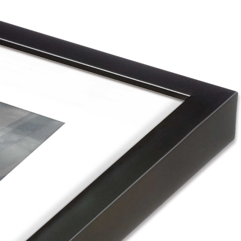 Free Spirits Set of 2 Prints in a Frame, 12.5" H x 29.5" W x 1.25" D, Weathered Zinc Framed