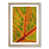 Oak Framed selected