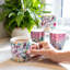 Exotic 4 Piece Mug Set