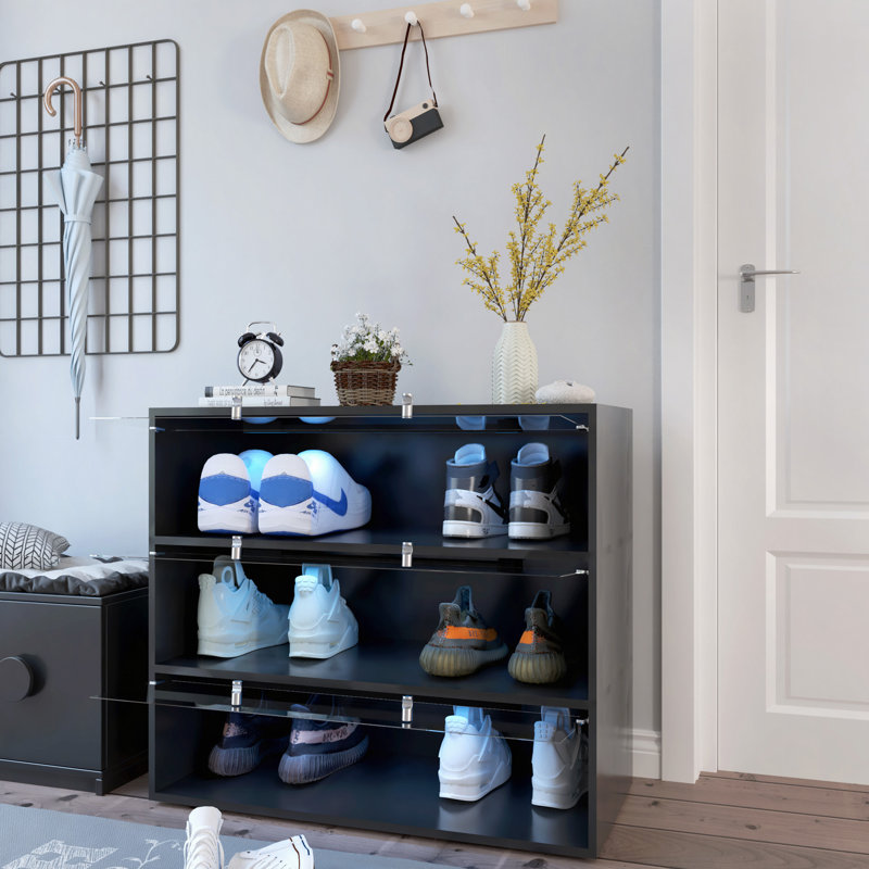 Armoire de rangement pour chaussures avec porte en verre, Noir, noir, noir, noir