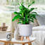 Geometric Patterned Cylinder Planter with Feet-350652355-350652354