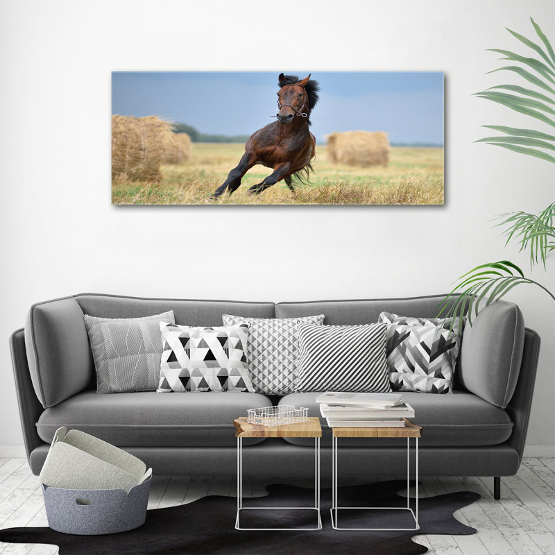 Horse In Gallop - No Frame Print on Canvas