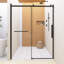 60,00 po X P 76,01 po H Porte de douche coulissante sans cadre-103549242