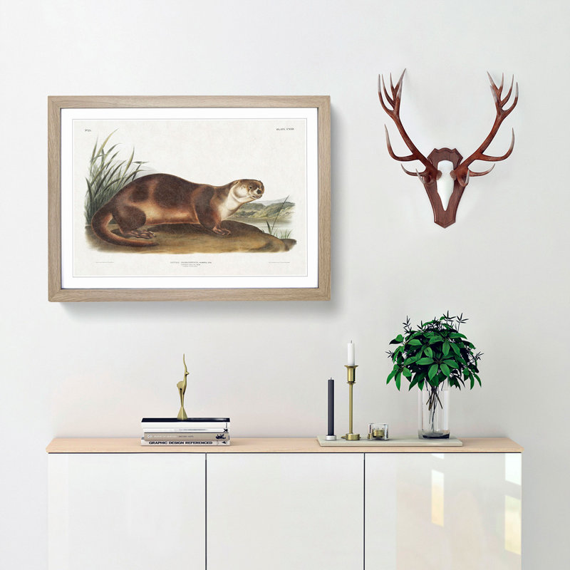 Canadian Otter by J.W. Audubon - Picture Frame Painting Print, Oak Framed, 27cm H x 36cm W x 2cm D