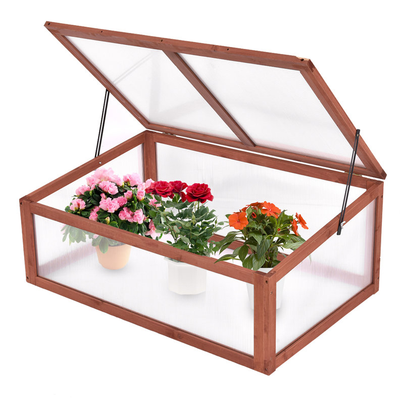 100 Cm X 65 Cm Ellizabeth Cold Frame