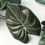 120cm Faux Plant-101685090