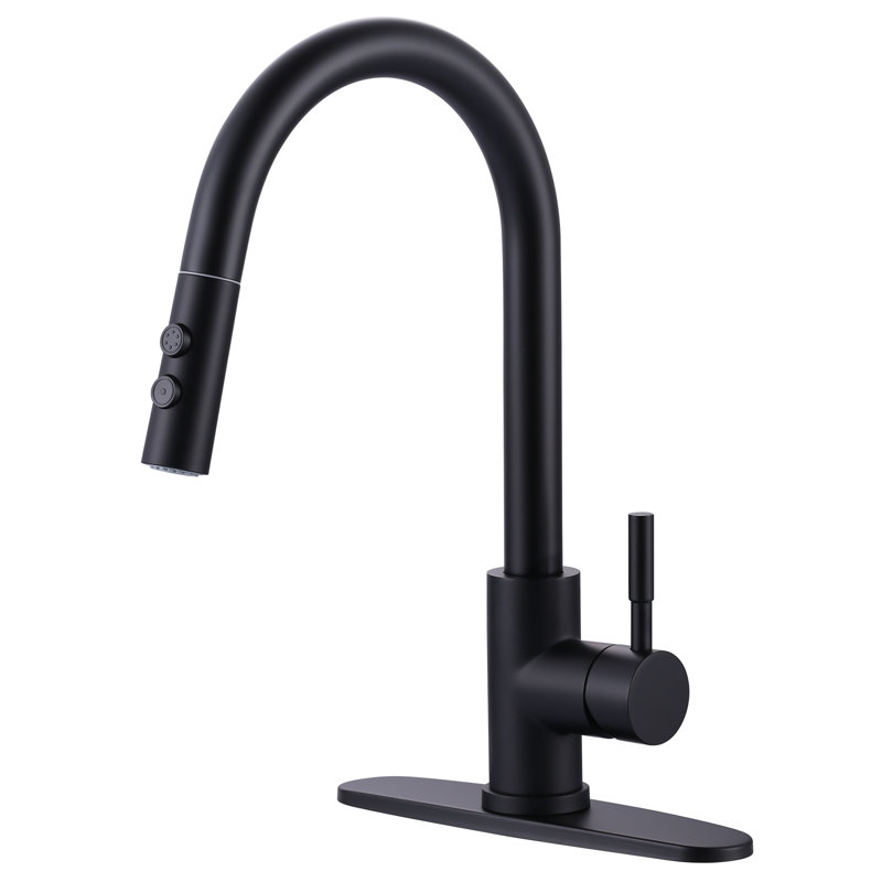 Aleasha Kitchen Faucet, Matte Black