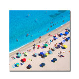 Sunny Summer Swimming Print