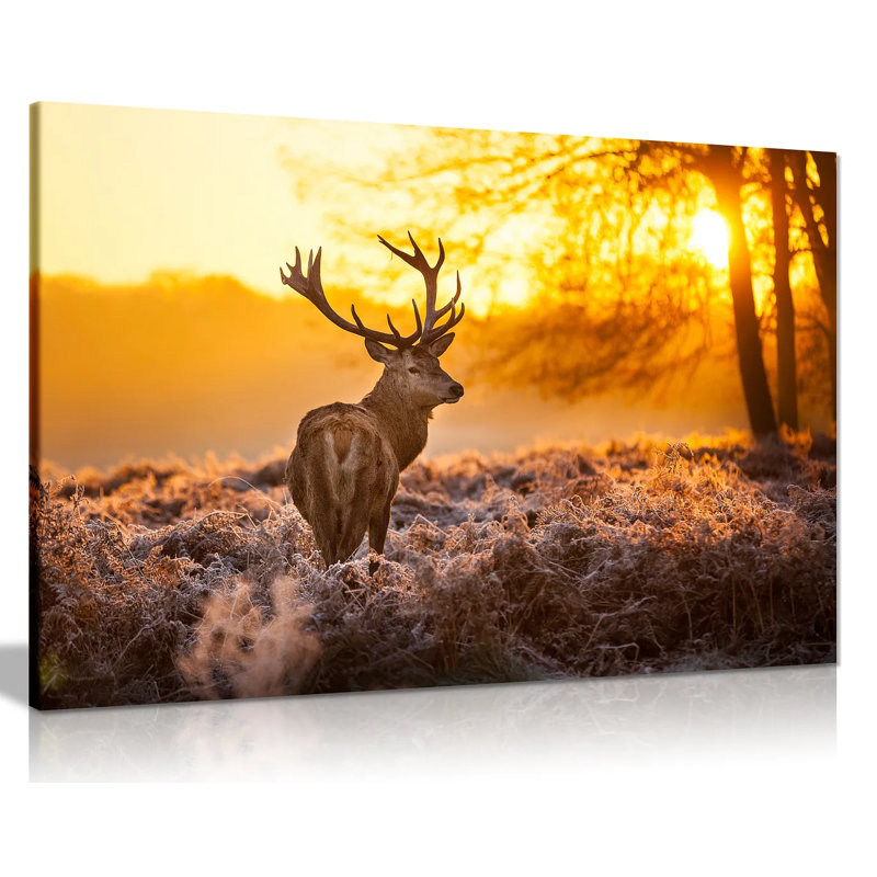 Red Deer In Morning Sun - Wrapped Canvas Print, 20cm H x 31cm W