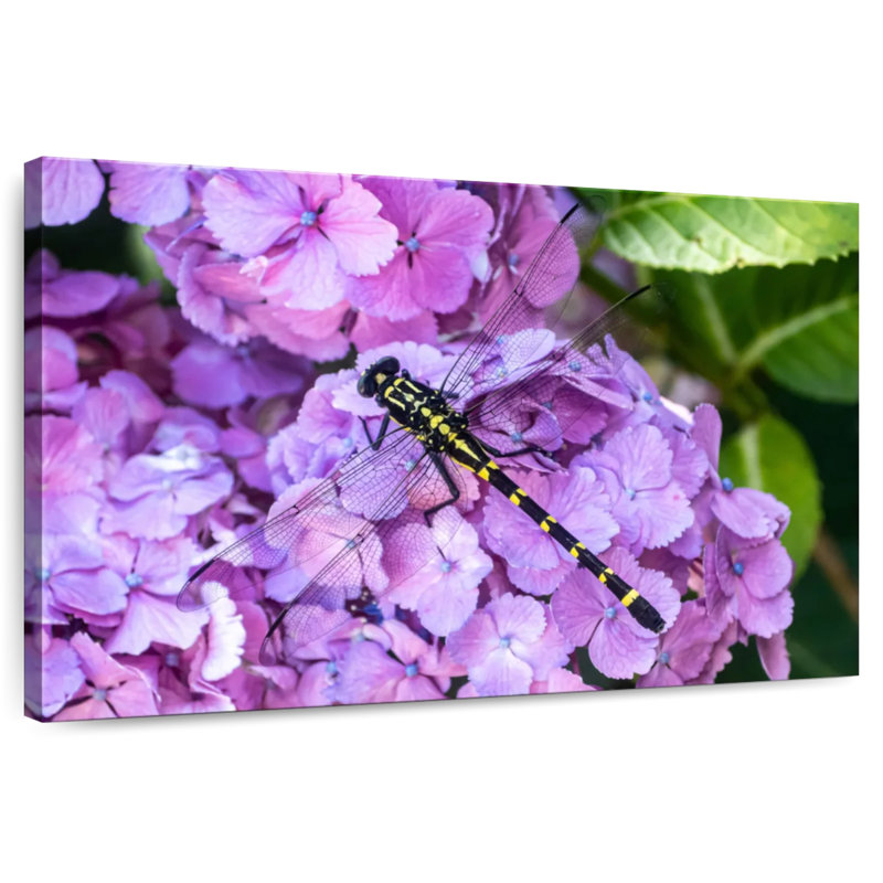Brampt Dragonfly On Hydrangeas, 34" H x 51" W