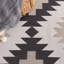 Ilkka Southwestern Cotton Area Rug in Beige/Black-51794589