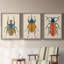 Beetle Bug I - ensemble de 3 peintures sur toile encadrées-1777886079-1777886050