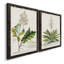 «Allurant Botanical I», ensemble de 2 reproductions d'art sur toiles-1527522526-1527522466
