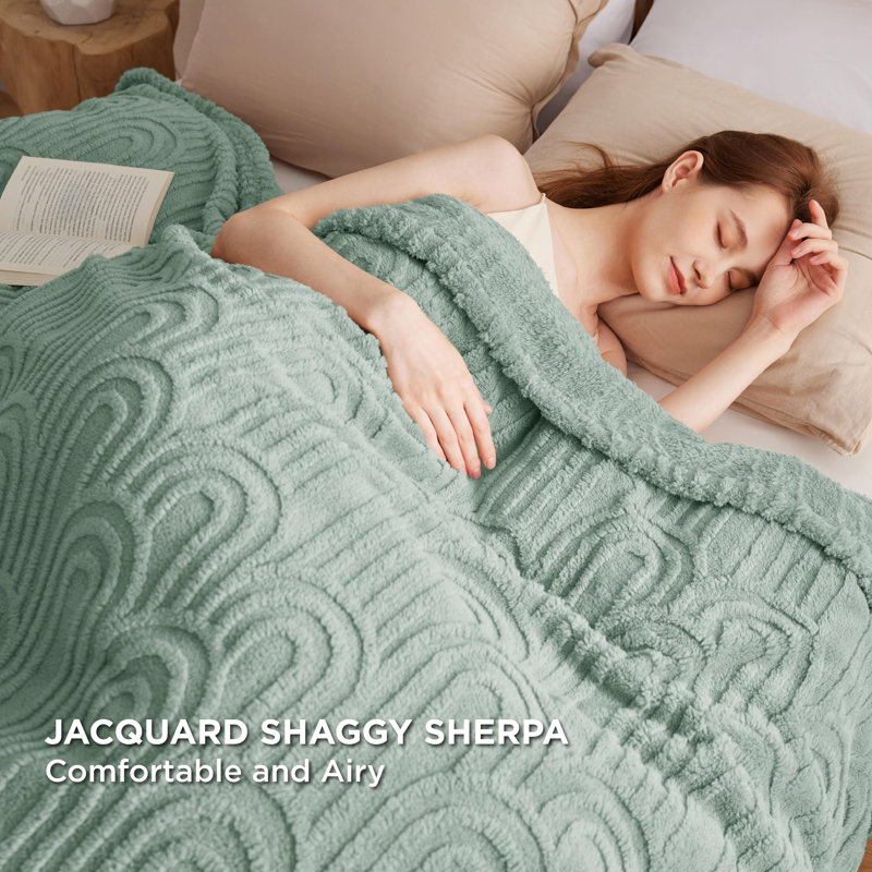 Couverture douillette super douce 279 g / m² pour lit et canapé GentleSoft ™ ️, Grand lit, Vert sauge